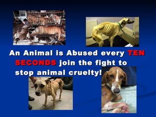 An Animal is Abused every  TEN SECONDS  join the fight to stop animal cruelty! 