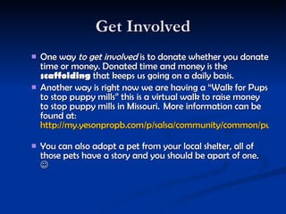 Get Involved One way  to get involved  is to donate whether you donate time or money. Donated time and money is the  scaffolding  that keeps us going on a daily basis.     Another way is right now we are having a “Walk for Pups to stop puppy mills” this is a virtual walk to raise money to stop puppy mills in Missouri.  More information can be found at:  http://my.yesonpropb.com/p/salsa/community/common/public/index_vdw.sjs   You can also adopt a pet from your local shelter, all of those pets have a story and you should be apart of one.     