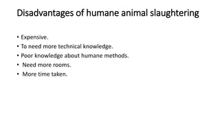 Disadvantages of humane animal slaughtering
• Expensive.
• To need more technical knowledge.
• Poor knowledge about humane methods.
• Need more rooms.
• More time taken.
 