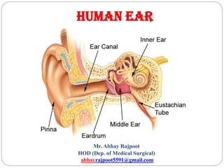HUMAN EAR
Prepared by
Mr. Abhay Rajpoot
HOD (Dep. of Medical Surgical)
abhayrajpoot5591@gmail.com
 