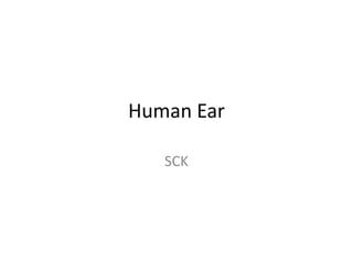 Human Ear
SCK
 