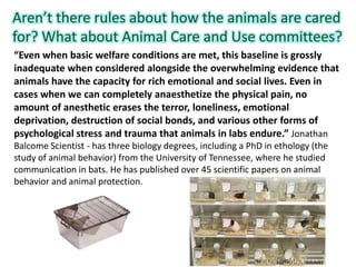 “Even when basic welfare conditions are met, this baseline is grossly
inadequate when considered alongside the overwhelming evidence that
animals have the capacity for rich emotional and social lives. Even in
cases when we can completely anaesthetize the physical pain, no
amount of anesthetic erases the terror, loneliness, emotional
deprivation, destruction of social bonds, and various other forms of
psychological stress and trauma that animals in labs endure.” Jonathan
Balcome Scientist - has three biology degrees, including a PhD in ethology (the
study of animal behavior) from the University of Tennessee, where he studied
communication in bats. He has published over 45 scientific papers on animal
behavior and animal protection.
Aren’t there rules about how the animals are cared
for? What about Animal Care and Use committees?
 
