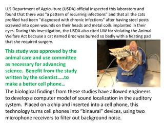 The biological findings from these studies have allowed engineers
to develop a computer model of sound localization in the auditory
system. Placed on a chip and inserted into a cell phone, this
technology turns cell phones into “binaural” devices, using two
microphone receivers to filter out background noise.
U.S Department of Agriculture (USDA) official inspected this laboratory and
found that there was "a pattern of recurring infections" and that all the cats
profiled had been "diagnosed with chronic infections" after having steel posts
screwed into open wounds on their heads and metal coils implanted in their
eyes. During this investigation, the USDA also cited UW for violating the Animal
Welfare Act because a cat named Broc was burned so badly with a heating pad
that she required surgery.
This study was approved by the
animal care and use committee
as necessary for advancing
science. Benefit from the study
written by the scientist…..to
make a better cell phone…
 