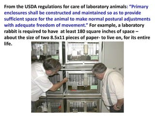 From the USDA regulations for care of laboratory animals: “Primary
enclosures shall be constructed and maintained so as to provide
sufficient space for the animal to make normal postural adjustments
with adequate freedom of movement.” For example, a laboratory
rabbit is required to have at least 180 square inches of space –
about the size of two 8.5x11 pieces of paper- to live on, for its entire
life.
 