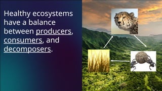 Human Ecosystem Imbalance Scenarios For Class | PPTX