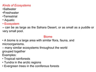 Kinds of Ecosystems
•Saltwater
•Freshwater
•Terrestrial
• Aquatic
• Ecosystem
– can be as large as the Sahara Desert, or a...