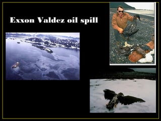 Exxon Valdez oil spill
 