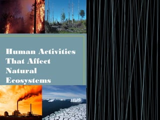 Human Activities
That Affect
Natural
Ecosystems
 