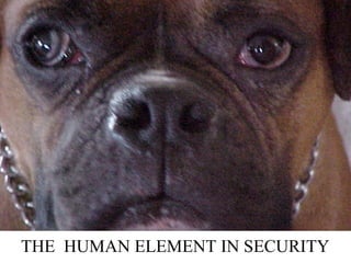 THE HUMAN ELEMENT IN SECURITY
 
