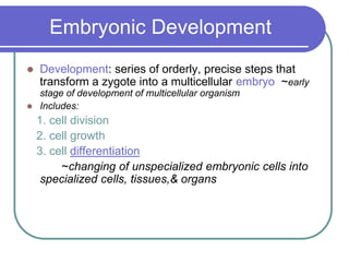 Embryonic Development
 Development: series of orderly, precise steps that
transform a zygote into a multicellular embryo ~early
stage of development of multicellular organism
 Includes:
1. cell division
2. cell growth
3. cell differentiation
~changing of unspecialized embryonic cells into
specialized cells, tissues,& organs
 