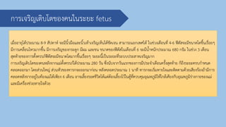 การเจริญเติบโตของคนในระยะ fetus
เมื่ออายุได้ประมาณ 8-9 สัปดาห์ จะมีนิ้วมือและนิ้วเท้าเจริญเห็นได้ชัดเจน สามารถแยกเพศได้ ในช่วงเดือนที่ 4-6 ฟีตัสจะมีขนาดโตขึ้นเรื่อยๆ
มีการเคลื่อนไหวมากขึ้น มีการเจริญของกระดูก มีผม และขน ขนาดของฟีตัสในเดือนที่ 6 จะมีน้าหนักประมาณ 680 กรัม ในช่วง 3 เดือน
สุดท้ายของการตั้งครรภ์ฟีตัสจะมีขนาดโตมากขึ้นเรื่อยๆ ระยะนี้เป็นระยะที่ระบบประสาทเจริญมาก
การเจริญเติบโตของคนหลังจากแม่ตั้งครรภ์ได้ประมาณ 280 วัน ซึ่งนับจากวันแรกของการมีประจาเดือนครั้งสุดท้าย ก็ถึงระยะครบกาหนด
คลอดออกมา โดยส่วนใหญ่ ส่วนหัวของทารกจะออกมาก่อน หลังคลอดประมาณ 1 นาที ทารกจะเริ่มหายใจและติดตามด้วยเสียงร้องถ้ามีการ
คลอดหลังจากอยู่ในท้องแม่ได้เพียง 6 เดือน อาจเลี้ยงรอดชีวิตได้แต่ต้องเลี้ยงไว้ในตู้ที่ควบคุมอุณหภูมิให้ใกล้เคียงกับอุณหภูมิร่างกายของแม่
และมีเครื่องช่วยหายใจด้วย
 