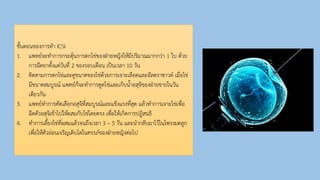 ขั้นตอนของการทา ICSI
1. แพทย์จะทาการกระตุ้นการตกไข่ของฝ่ายหญิงให้มีปริมาณมากกว่า 1 ใบ ด้วย
การฉีดยาตั้งแต่วันที่ 2 ของรอบเดือน เป็นเวลา 10 วัน
2. ติดตามการตกไข่และดูขนาดของไข่ด้วยการเจาะเลือดและอัลตราซาวด์ เมื่อไข่
มีขนาดสมบูรณ์ แพทย์ก็จะทาการดูดไข่และเก็บน้าอสุจิของฝ่ายชายในวัน
เดียวกัน
3. แพทย์ทาการคัดเลือกอสุจิที่สมบูรณ์และแข็งแรงที่สุด แล้วทาการเจาะไข่เพื่อ
ฉีดตัวอสุจิเข้าไปให้ผสมกับไข่โดยตรง เพื่อให้เกิดการปฏิสนธิ
4. ทาการเลี้ยงไข่ที่ผสมแล้วจนถึงเวลา 3 – 5 วัน และนากลับมาไว้ในโพรงมดลูก
เพื่อให้ตัวอ่อนเจริญเติบโตในครรภ์ของฝ่ายหญิงต่อไป
 