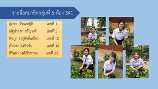 รายชื่อสมาชิกกลุ่มที่ 5 ห้อง 341
ญาดา วัจฉละฐิติ เลขที่ 1
ณัฐประภา ขวัญวงศ์ เลขที่ 5
พิชฎา จารุศักดิ์เสถียร เลขที่ 12
ภัทลดา สุรกิจชัย เลขที่ 16
สิรินยา วงศ์ณิชชากุล เลขที่ 23
 