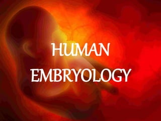 HUMAN
EMBRYOLOGY
 