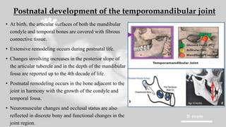 Seminar on HUMAN EMBRYOLOGY for postgraduates | PPTX