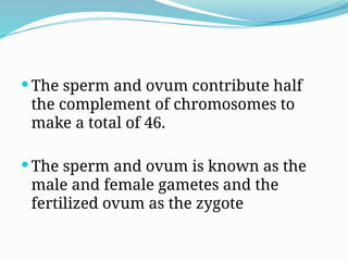  The sperm and ovum contribute half
the complement of chromosomes to
make a total of 46.
 The sperm and ovum is known as the
male and female gametes and the
fertilized ovum as the zygote
 