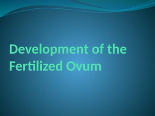 Development of the
Fertilized Ovum
 