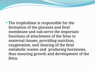  The trophoblast is responsible for the
formation of the placenta and fetal
membrane and sub-serve the important
functions of attachment of the fetus to
maternal tissues, providing nutrition,
oxygenation, and clearing of the fetal
metabolic wastes and producing hormones,
thus ensuring growth and development of the
fetus.
 