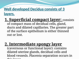 Well developed Decidua consists of 3
layers.
1. Superficial compact layer: consists
of compact mass of decidual cells, gland,
ducts and dilated capillaries. The greater part
of the surface epithelium is either thinned
out or lost.
2. Intermediate spongy layer
(cavernous or functional layer): contains
dilated uterine glands, decidual cells and
blood vessesls. Placenta separation occurs in
 