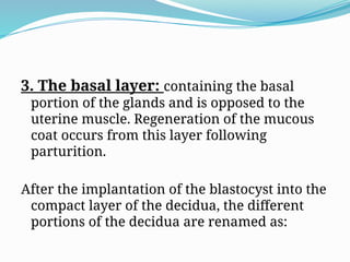 3. The basal layer: containing the basal
portion of the glands and is opposed to the
uterine muscle. Regeneration of the mucous
coat occurs from this layer following
parturition.
After the implantation of the blastocyst into the
compact layer of the decidua, the different
portions of the decidua are renamed as:
 