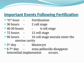 Important Events Following Fertilization
 “O” hour - Fertilization
 30 hours - 2 cell stage
 40-50 hours - 4 cell stage
 72 hours - 12 cell stage
 96 hours - 16 cell stage morula enter the
uterine cavity
 5th
day - blastocyst
 6-7th
day - zona pellucida disappear.
Interstitial implantation occurs.
 