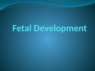 Fetal Development
 