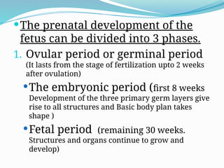 The prenatal development of the
fetus can be divided into 3 phases.
1. Ovular period or germinal period
(It lasts from the stage of fertilization upto 2 weeks
after ovulation)
The embryonic period (first 8 weeks
Development of the three primary germ layers give
rise to all structures and Basic body plan takes
shape )
Fetal period (remaining 30 weeks.
Structures and organs continue to grow and
develop)
 