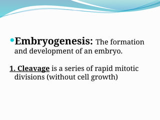 Embryogenesis: The formation
and development of an embryo.
1. Cleavage is a series of rapid mitotic
divisions (without cell growth)
 