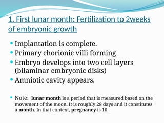 1. First lunar month: Fertilization to 2weeks
of embryonic growth
 Implantation is complete.
 Primary chorionic villi forming
 Embryo develops into two cell layers
(bilaminar embryonic disks)
 Amniotic cavity appears.
 Note: lunar month is a period that is measured based on the
movement of the moon. It is roughly 28 days and it constitutes
a month. In that context, pregnancy is 10.
 