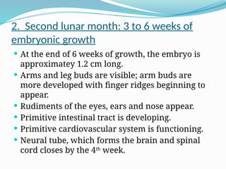 2. Second lunar month: 3 to 6 weeks of
embryonic growth
 At the end of 6 weeks of growth, the embryo is
approximatey 1.2 cm long.
 Arms and leg buds are visible; arm buds are
more developed with finger ridges beginning to
appear.
 Rudiments of the eyes, ears and nose appear.
 Primitive intestinal tract is developing.
 Primitive cardiovascular system is functioning.
 Neural tube, which forms the brain and spinal
cord closes by the 4th
week.
 