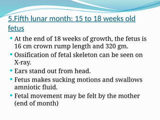 5.Fifth lunar month: 15 to 18 weeks old
fetus
 At the end of 18 weeks of growth, the fetus is
16 cm crown rump length and 320 gm.
 Ossification of fetal skeleton can be seen on
X-ray.
 Ears stand out from head.
 Fetus makes sucking motions and swallows
amniotic fluid.
 Fetal movement may be felt by the mother
(end of month)
 