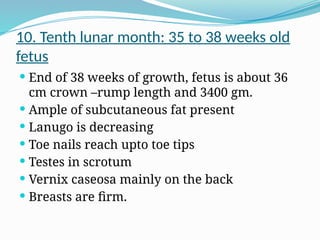 10. Tenth lunar month: 35 to 38 weeks old
fetus
 End of 38 weeks of growth, fetus is about 36
cm crown –rump length and 3400 gm.
 Ample of subcutaneous fat present
 Lanugo is decreasing
 Toe nails reach upto toe tips
 Testes in scrotum
 Vernix caseosa mainly on the back
 Breasts are firm.
 