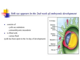 Yolk sac appears in the 2nd week of embryonic development 
 consists of 
- yolk sac endoderm 
- extraembryonic mesoderm 
 is filled with 
- serous fluid 
(yolk has been spent in the 1st day of development) 
 