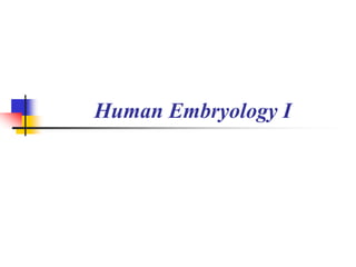 Human Embryology I 
 