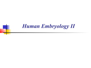 Human Embryology II 
 