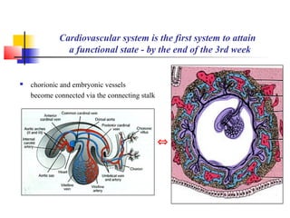 Human Embryology II | PPT