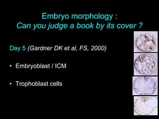 Embryo morphology :
Can you judge a book by its cover ?
Day 5 (Gardner DK et al, FS, 2000)
• Embryoblast / ICM
• Trophoblast cells
 