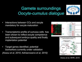 Gamete surroundings
Oocyte-cumulus dialogue
• Interactions between CCs and oocyte
mandatory for oocyte maturation
• Transcriptomic profile of cumulus cells has
been shown to reflect oocyte competence
and subsequent embryo quality and finally
implantation potential
• Target genes identified, potential
biomarkers currently under validation
(Assou et al, 2010; Adriaenssens et al, 2010)
Assou et al, MHR, 2010
 