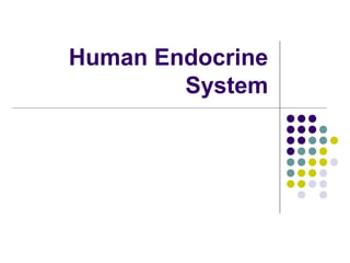 Human Endocrine
        System
 