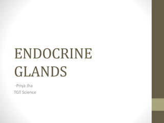 ENDOCRINE
GLANDS
-Priya Jha
TGT Science
 