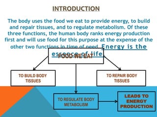 Power In Humans Human Body Energy Production