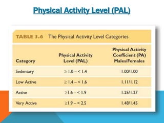 Human Energy | PPTX