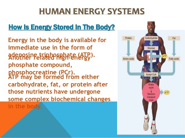 human-energy