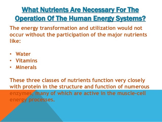 The Body Stores Water Food And Oxygen During Catabolism The Body Stores Water Food And Oxygen During Catabolism