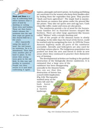 Human environment interactions | PDF