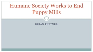B R I A N F E T T N E R
Humane Society Works to End
Puppy Mills
 