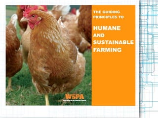 THE GUIDING
PRINCIPLES TO
HUMANE
AND
SUSTAINABLE
FARMING
 