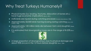 Why Treat Turkeys Humanely?
 Physical injuries (i.e. bruising, fractures, dislocation of bones etc.)
have huge economic implications (Elrom, 2001)
 4-6% birds are injured during catching processes (Poultry International, 1998)
 Approximately 32/200 birds had leg bruising during catching (Lacy and
Czarick, 1998)
 Approximately 120 million birds die between farm and slaughter (Week,
C. and Nicol, C. 2000)
 It is estimated that downgrading losses are in the range of 8-25% (Elson,
1986)
 A large proportion of downgrading is due to physical damage and
about 90% occurs in the 12 hours before slaughter (Elson, 1986)
 