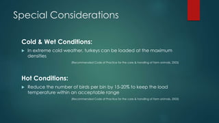 Special Considerations
Cold & Wet Conditions:
 In extreme cold weather, turkeys can be loaded at the maximum
densities
(Recommended Code of Practice for the care & handling of farm animals, 2003)
Hot Conditions:
 Reduce the number of birds per bin by 15-20% to keep the load
temperature within an acceptable range
(Recommended Code of Practice for the care & handling of farm animals, 2003)
 