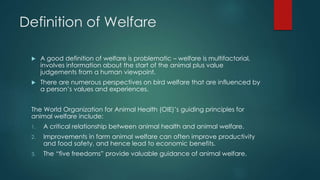 Definition of Welfare
 A good definition of welfare is problematic – welfare is multifactorial,
involves information about the start of the animal plus value
judgements from a human viewpoint.
 There are numerous perspectives on bird welfare that are influenced by
a person’s values and experiences.
The World Organization for Animal Health (OIE)’s guiding principles for
animal welfare include:
1. A critical relationship between animal health and animal welfare.
2. Improvements in farm animal welfare can often improve productivity
and food safety, and hence lead to economic benefits.
3. The “five freedoms” provide valuable guidance of animal welfare.
 